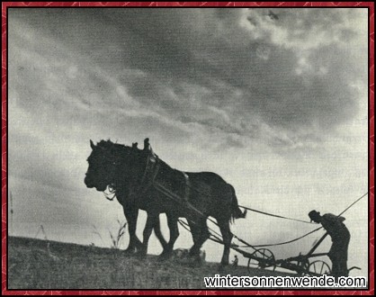 Hart und schwer ist die Arbeit der Gebirgsbauern.