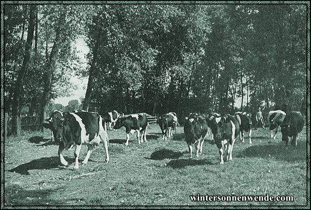 Münsterland.