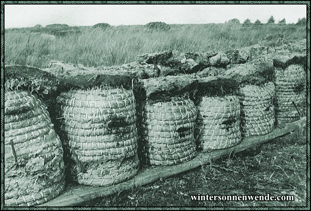 Bienenzucht im Papenburger Moor, Emsland.