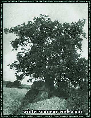 Insel Rügen. Ein Hünengrab.