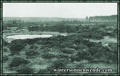 Erzgebirge. Hochmoor um den Kranichsee.