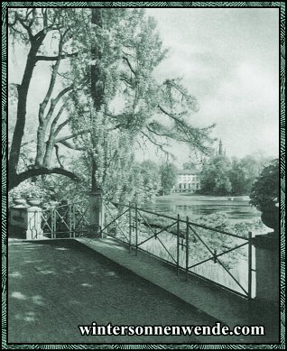 Wörlitz. Partie im Park.