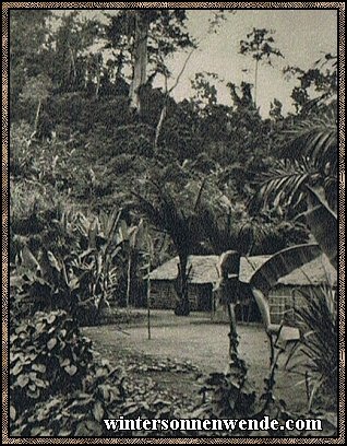 Eine Arbeiterwohnung in einer Ölplantage in Kamerun.