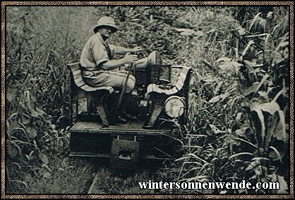 Auch in Kamerun fährt der Pflanzer auf der Draisine durch
den Urwald zu seinen Feldern.