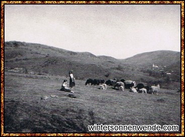 Auf der Weide bei den Häudörfern