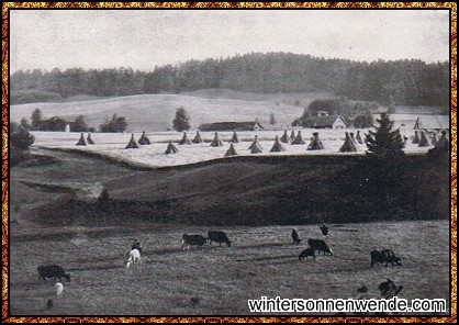 Kurländischer Bauernhof