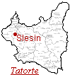 Slesin