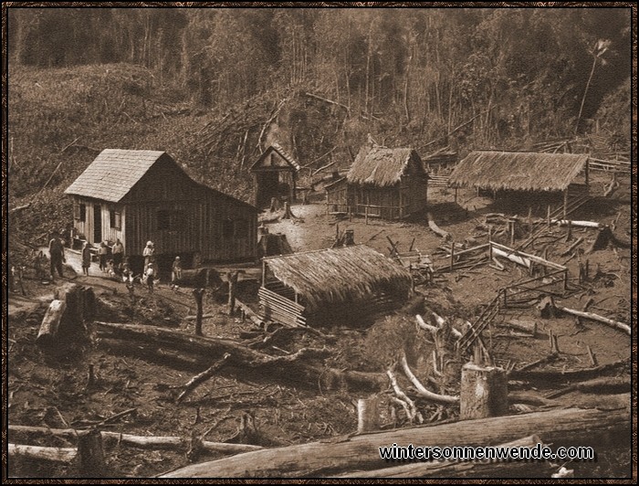 Ein deutsches Siedlerpaar hat mit der harten Arbeit mitten im brasilianischen Urwald
begonnen.