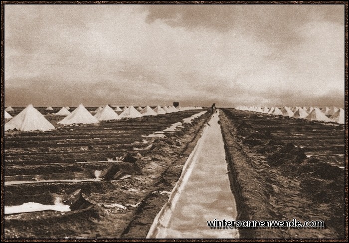 Deutsches Salzfeldlager bei Swakopmund. Von hier aus werden ganz
Südwestafrika und Teile der südafrikanischen Union mit Tafelsalz und Lecksalz
für das Vieh versorgt.