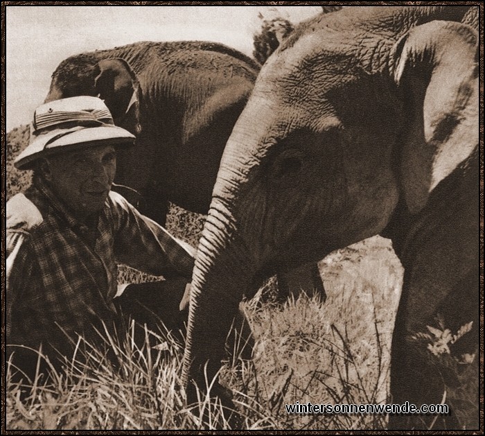 Ein deutscher Tierfänger besitzt als einziger die Tierfanglizenz in Tanganyika.
Seine Tierfangstation beliefert fast sämtliche zoologischen Gärten der Erde mit
afrikanischen Wildtieren.