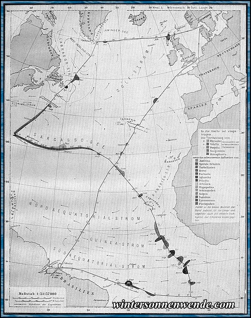 Reisekarte der Deutschen Plankton-Expedition 1889.