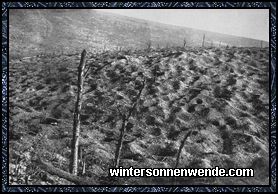 Vorgelände im Chapitrewald bei Verdun.