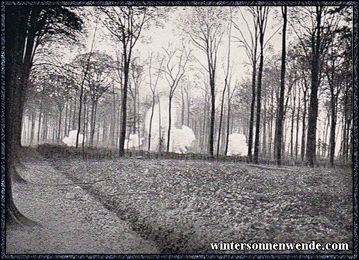 Kämpfe im Pierre St. Vaast-Walde 1916