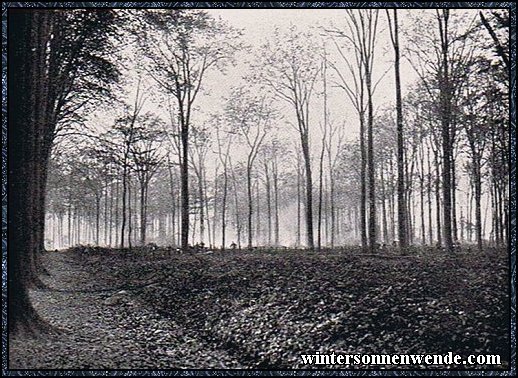 Kämpfe im Pierre St. Vaast-Walde 1916