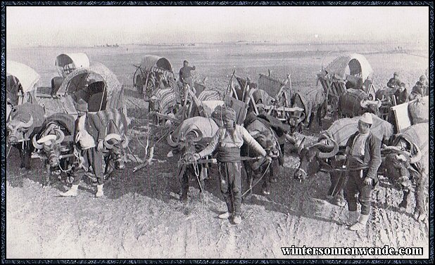 Türkische große Bagage mit Ochsengespann.