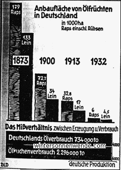 Der aus Deutschland verschwundene Ölfruchtanbau