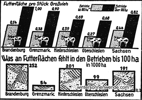 Fehlende Futterflächen im Kleinbetrieb