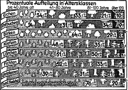 Das Alter des deutschen Hochwaldes