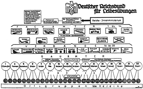 Der Aufbau der sportlichen Organisationen