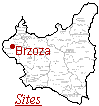 Brzoza