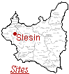 Slesin