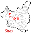 Thorn