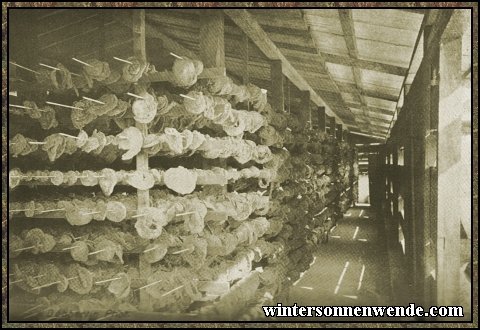 Rubber drying house, German East Africa.